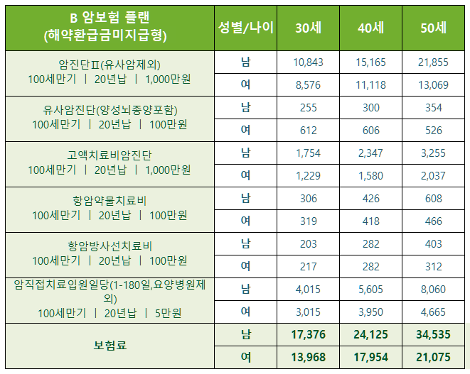 B 암보험 보장내용과 보험료